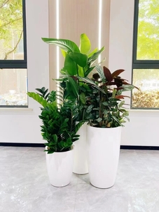 宁波北仑绿化养护公司，为您打造四季如画园林